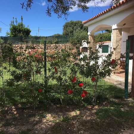 Azienda Multifunzionale S'Ozastro マリネッラ エクステリア 写真