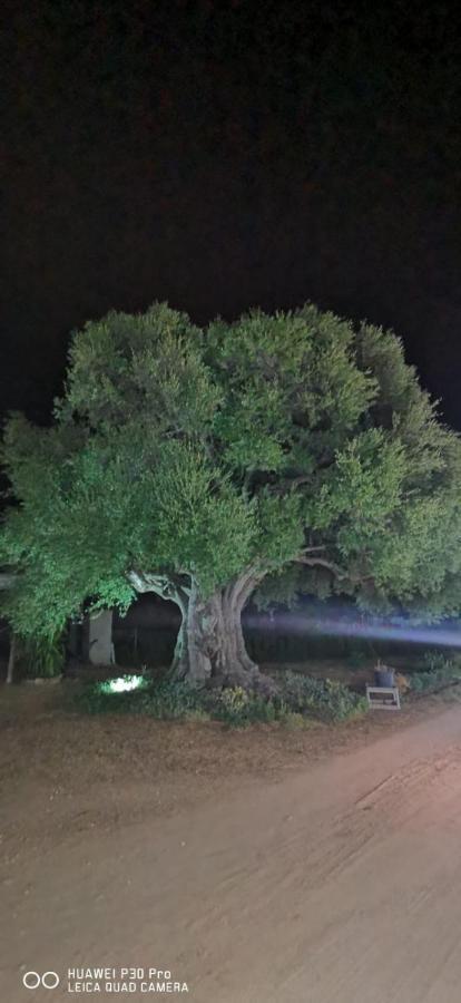 Azienda Multifunzionale S'Ozastro マリネッラ エクステリア 写真